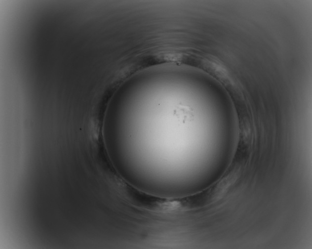 X0000089660374200706281325