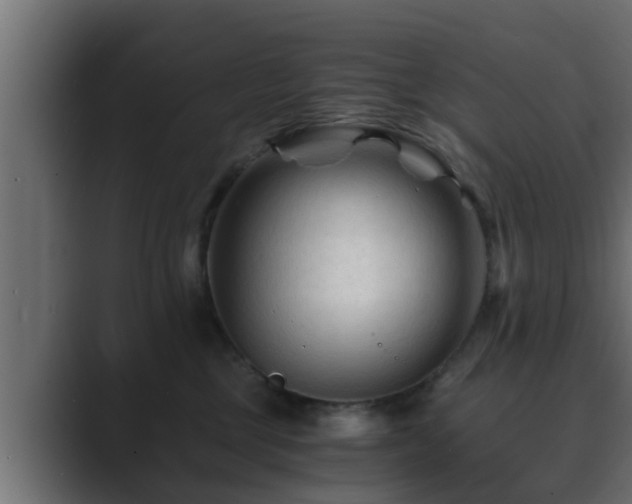 X0000089660377200706281325