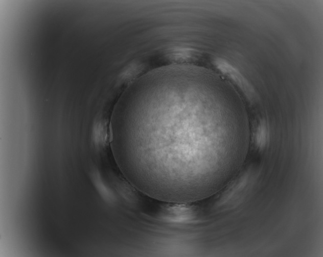 X0000089660383200706281325