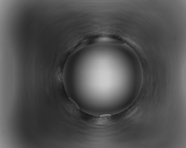 X0000089660384200706281325