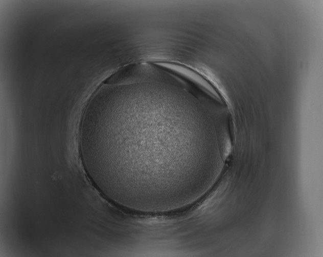 X0000089660385200706281325