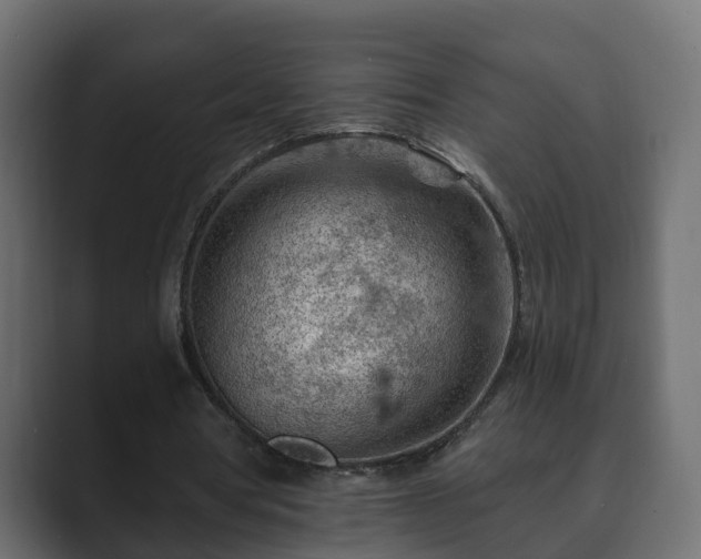 X0000089660386200706281325
