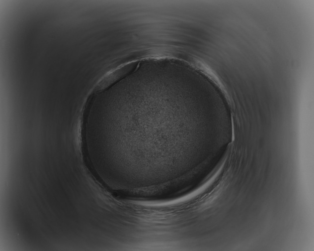 X0000089660387200706281325