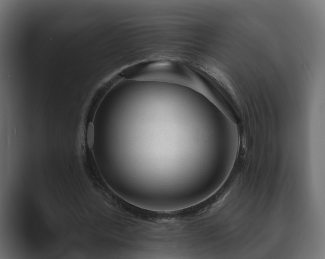 X0000089660388200706281325