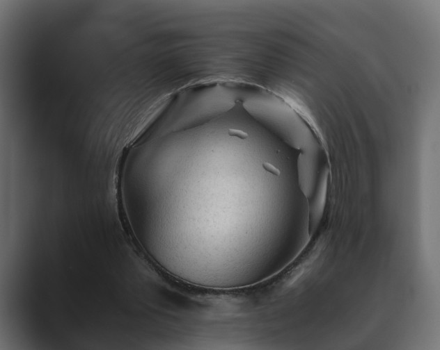 X0000089660389200706281325