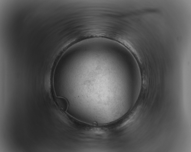 X0000089660390200706281325