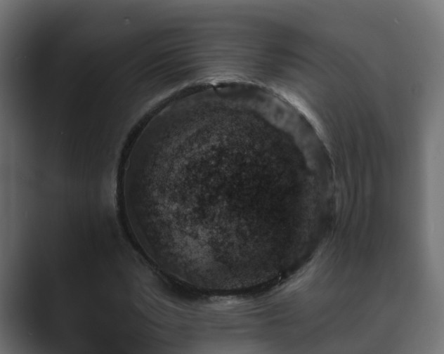 X0000089660391200706281325