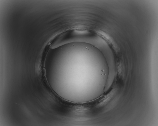X0000089660392200706281325