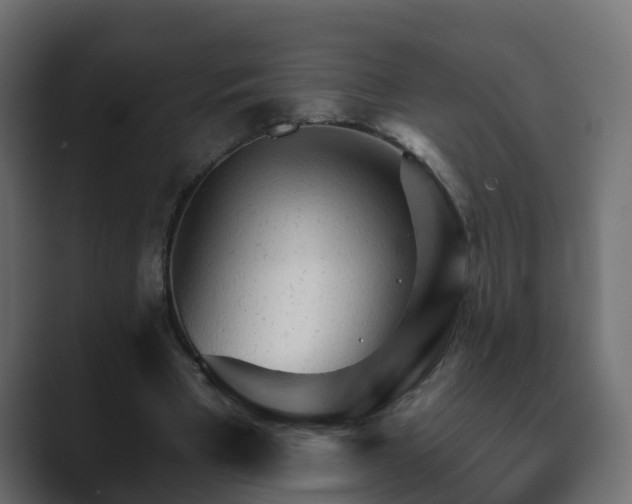 X0000089660393200706281325