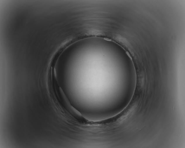 X0000089660395200706281325
