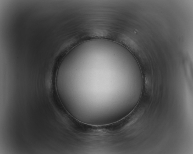 X0000089660396200706281325