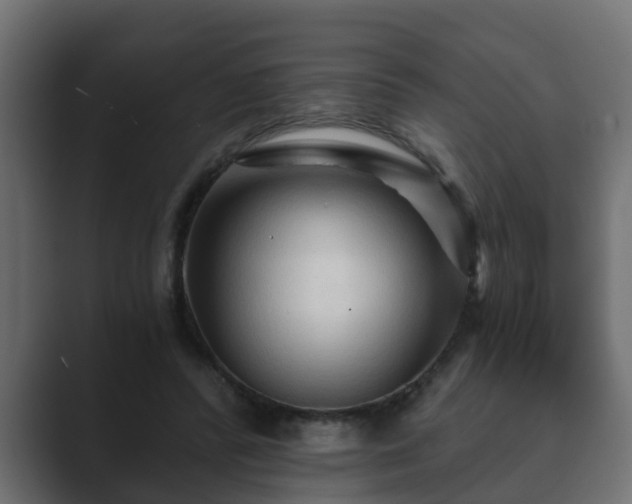 X0000089660400200706281325