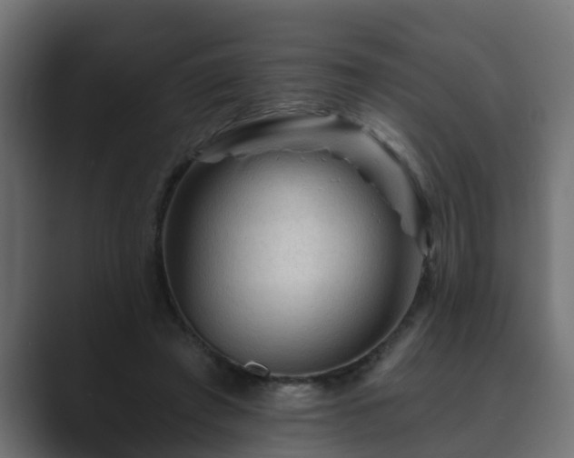 X0000089660401200706281325