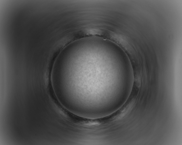 X0000089660402200706281325