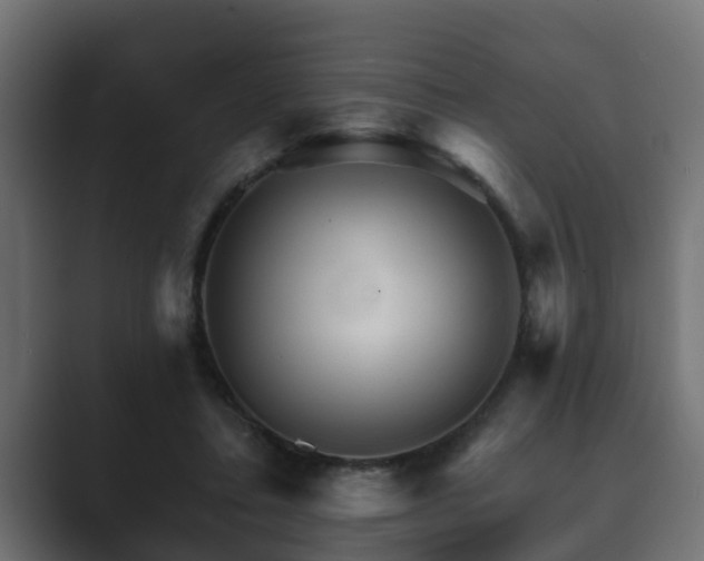 X0000089660403200706281325