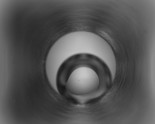 X0000089660405200706281325