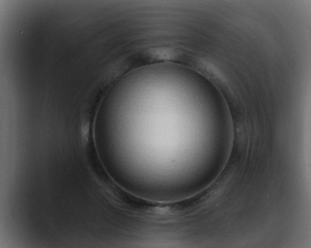 X0000089660406200706281325