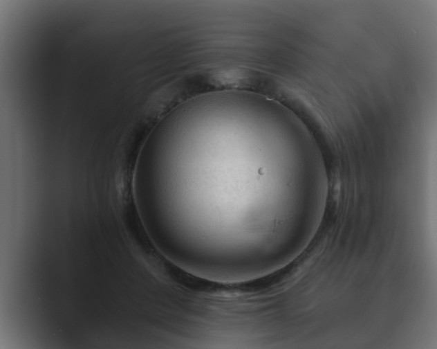X0000089660408200706281325