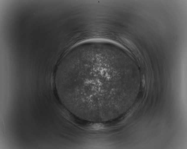 X0000089660409200706281325
