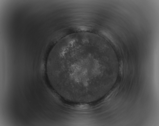 X0000089660410200706281325