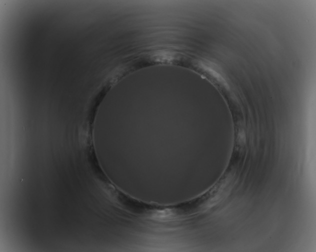 X0000089660411200706281325