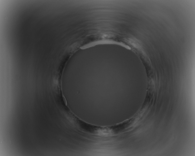 X0000089660415200706281325