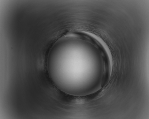 X0000089660416200706281325