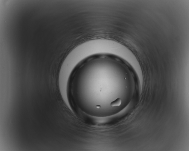 X0000089660417200706281325