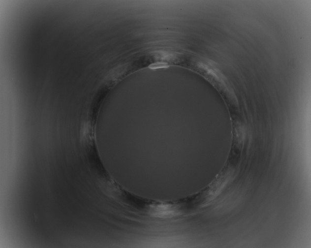 X0000089660419200706281325