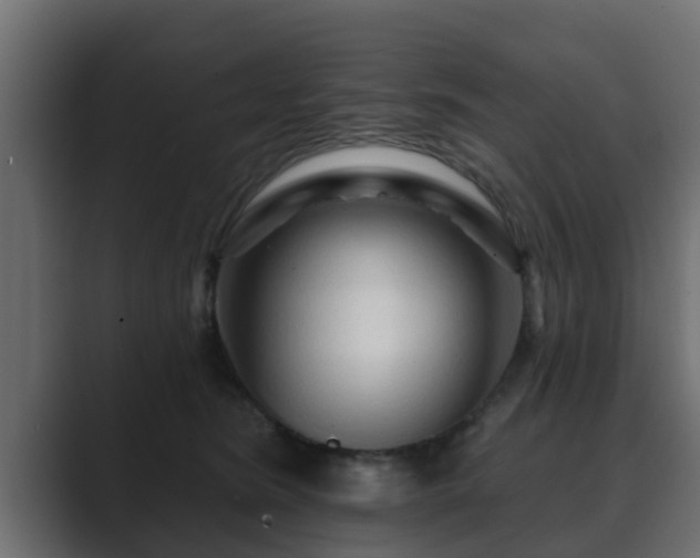 X0000089660420200706281325