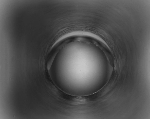 X0000089660421200706281325