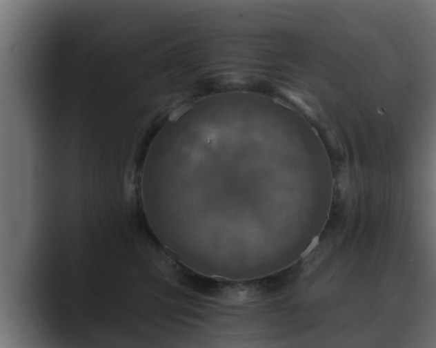 X0000089660423200706281324