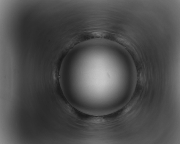 X0000089660424200706281324