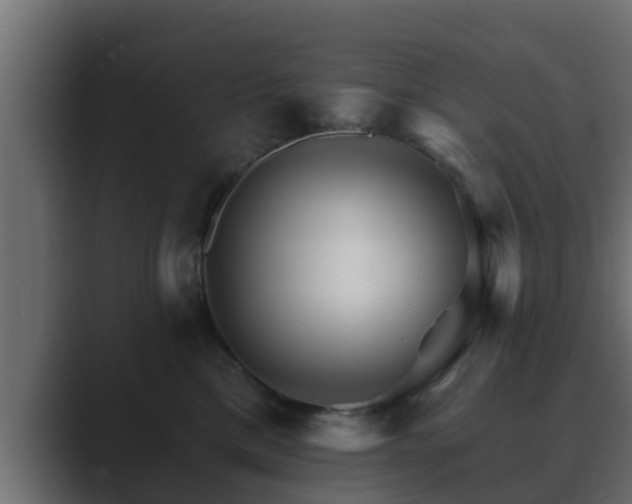 X0000089660425200706281324