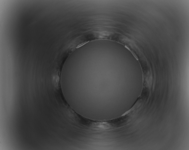 X0000089660427200706281324