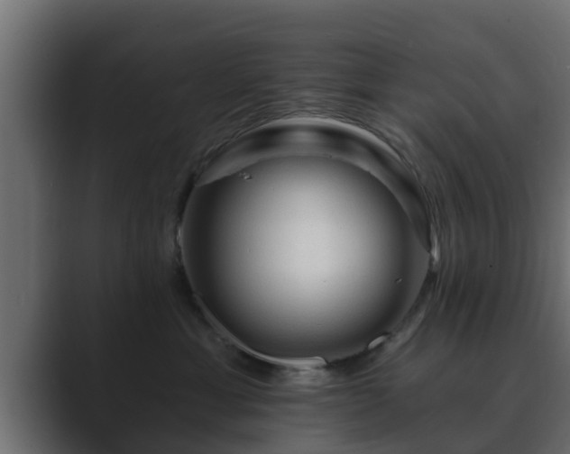 X0000089660429200706281324