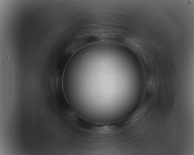 X0000089660430200706281324