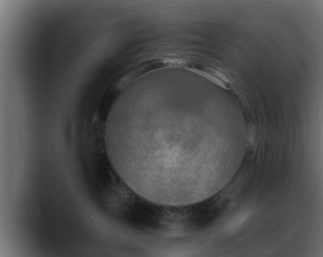X0000089660431200706281324