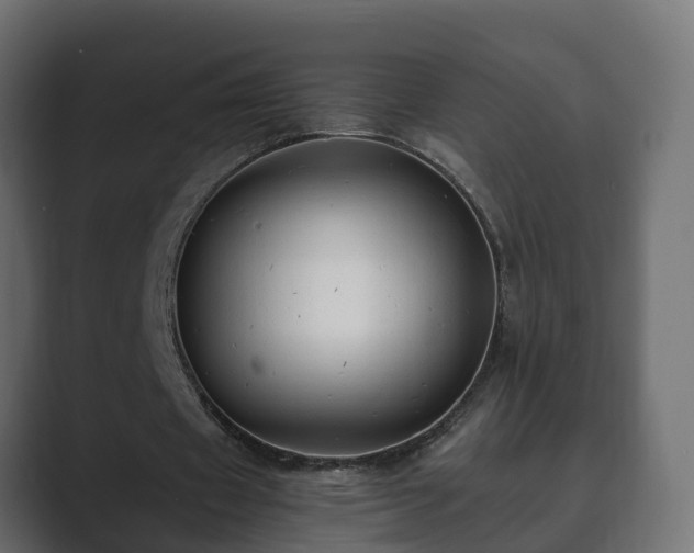 X0000089660433200706281324