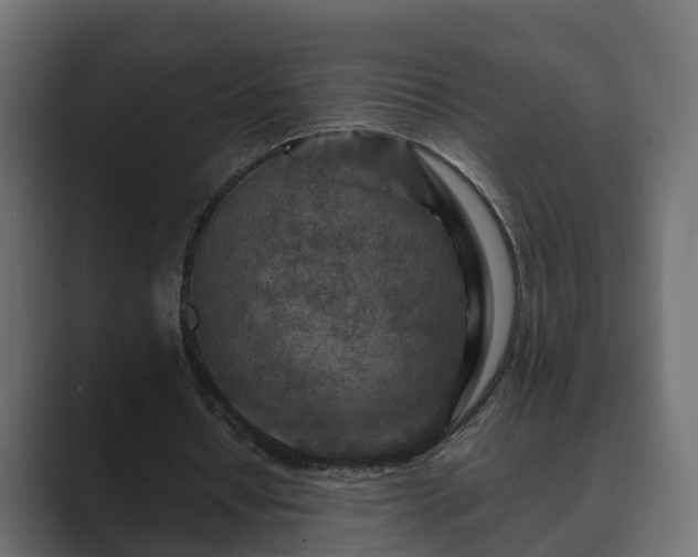 X0000089660434200706281324