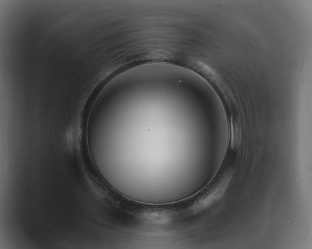 X0000089660435200706281324