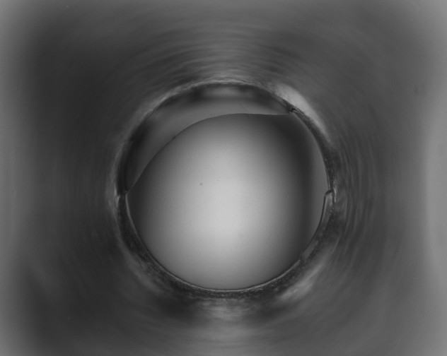 X0000089660436200706281324