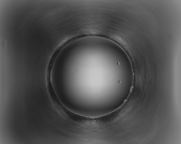 X0000089660439200706281324