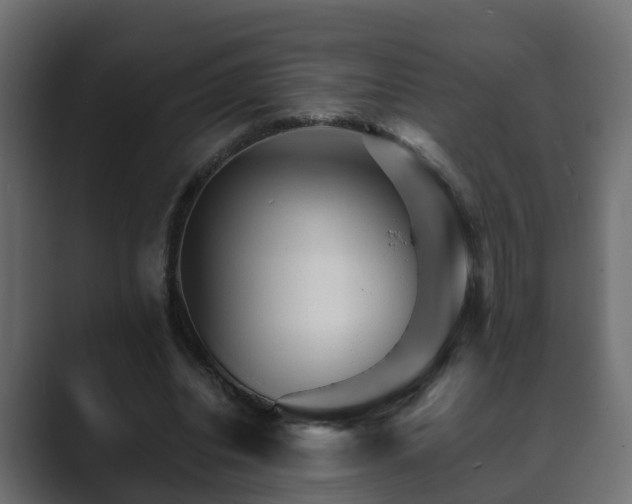X0000089660440200706281324