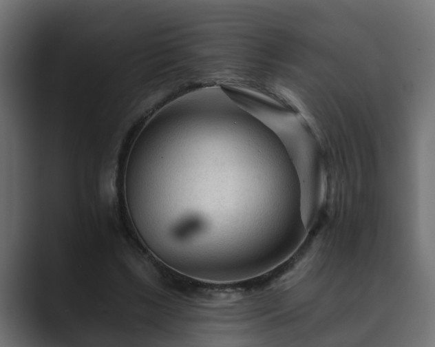 X0000089660443200706281324