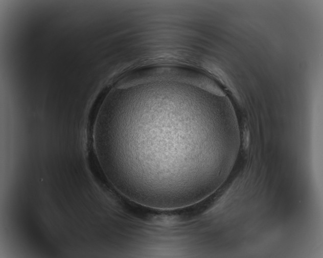 X0000089660444200706281324