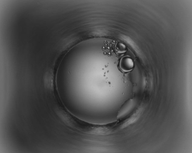 X0000089660446200706281324