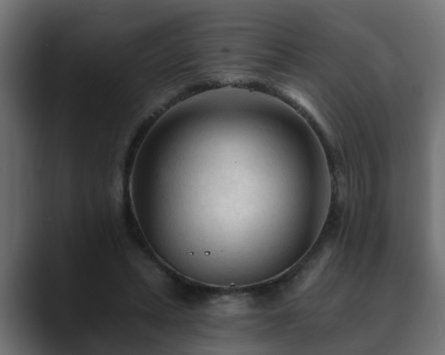 X0000089660447200706281324