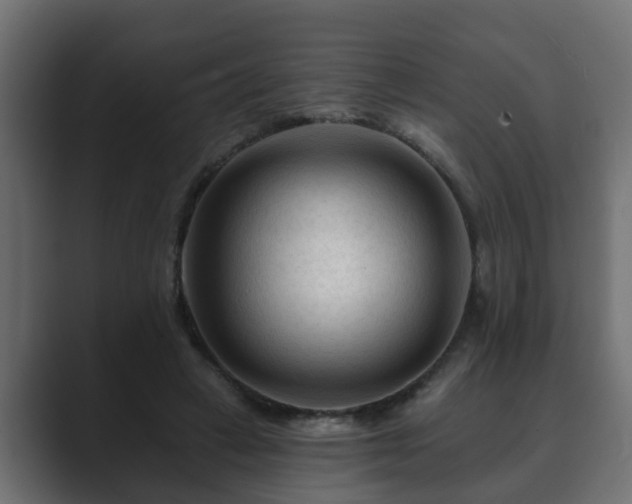 X0000089660449200706281324
