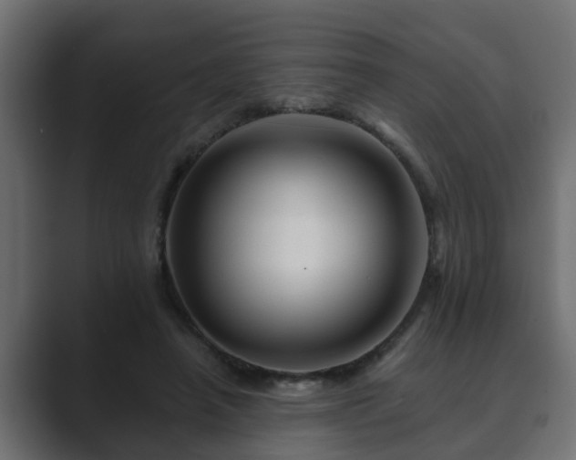 X0000089660450200706281324